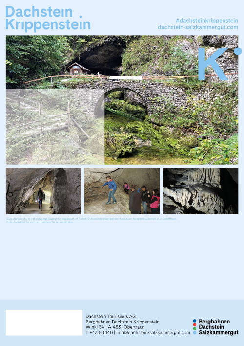 Koppenbrüllerhöhle Ticket